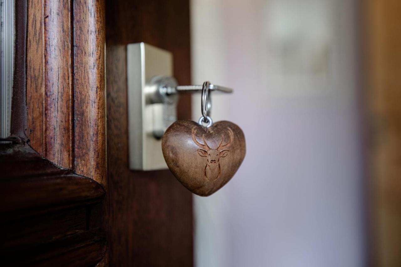 2 Bett Ferienwohnung Rose ヴェスターブルク エクステリア 写真